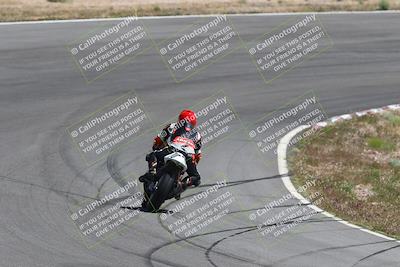 media/Apr-20-2025-AHRMA (Sun) [[393a79c373]]/Race/Group 8/Turn 4b/